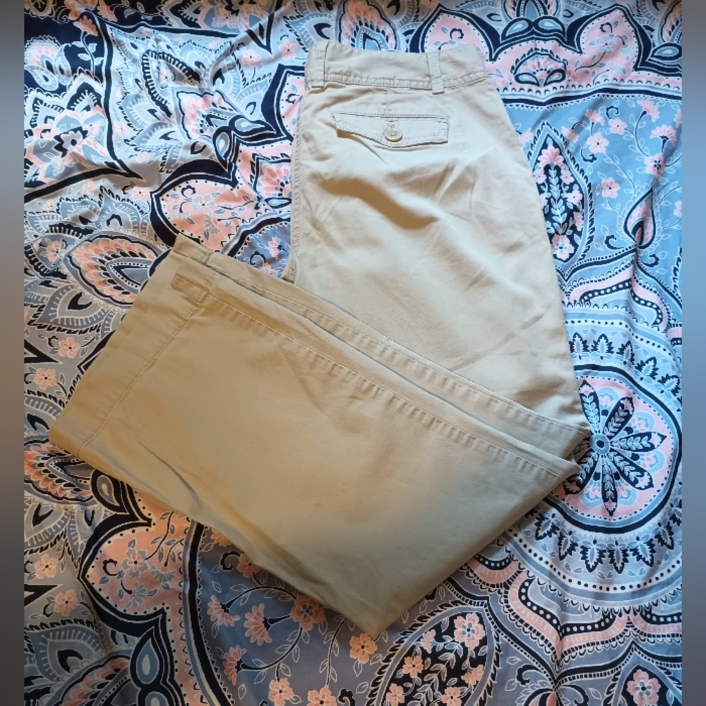 Ann Taylor Loft pants